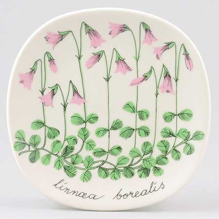 Arabia Botanica ホロムイイチゴ